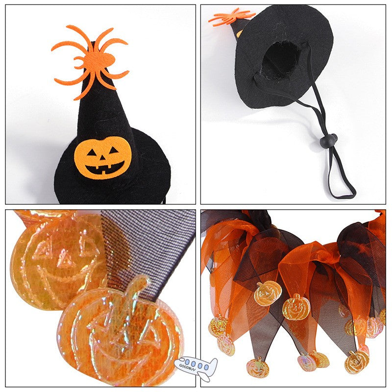 Witch Hat & Collar for Cats & Dogs – Petoween (4)